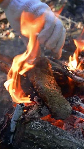 Dirty Ribeye Steak Over Open Fire 🔥 | Winter Log Grill