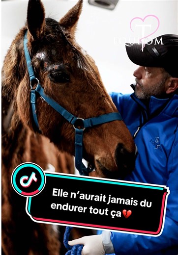 🇫🇷💔 L’histoire de cette jument est une épreuve qu’aucun animal ne devrait jamais avoir à traverser. Durant la période de maltraitance qu’elle a subie, elle a été soulevée et suspendue au plafond à l’aide d’un dispositif improvisé. L’une des cordes était attachée directement à sa queue, et la pression exercée a compromis la circulation sanguine. Les conséquences ont été dramatiques : des lésions tissulaires sévères, liées au manque de perfusion et d’oxygénation des tissus. Après avoir repris u