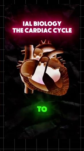 ALL what you need to learn about the cardiac cycle for Unit 1 IAL Biology Exams in 2026
