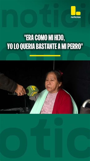 44K views · 1.4K reactions |  María Flavia Vásquez y su esposo lograron escapar del incendio que consumió su vivienda; sin embargo, lamentablemente, no lograron rescatar a su mascota.  Más información en latinanoticias.pe | Latina Noticias | Facebook