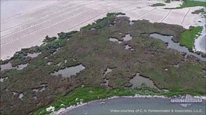 5.9K views · 178 reactions | The Brown Pelicans are returning to their newly restored home on Queen Bess Island! Check out this video shot by Fenstermaker of the birds selecting their nests for the season. #LongLiveTheQueen | Louisiana Coastal Protection and Restoration Authority | Facebook
