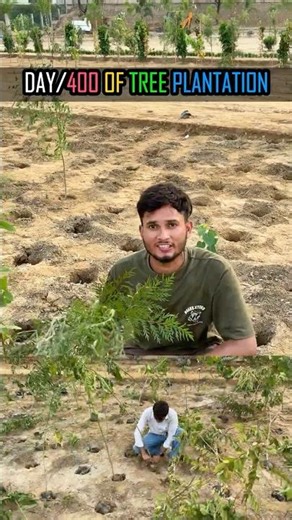 🚨🔥 STOP SCROLLING! 🌧️ 1 SUBS = 1 TREE , Be the Reason a Tree Lives 🌳#flora #shorts #explore