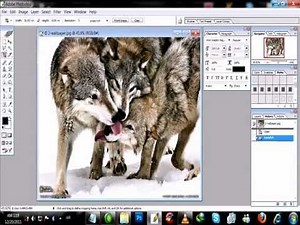 شرح أضافة فلاتر للفوتوشوب