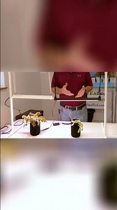 Grow Light Comparison Results #indoorgardening #ledgrowlights