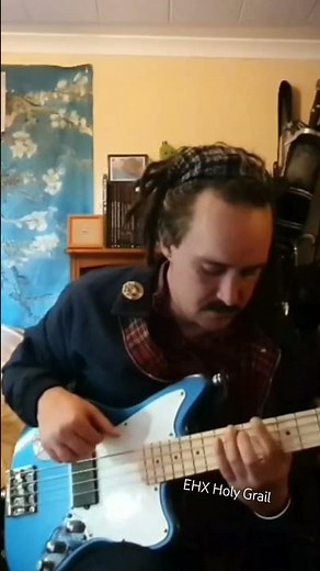 EHX Holy Grail on Bass