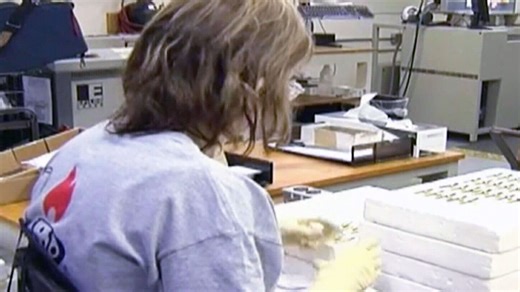 New study highlights the top most in-demand jobs in Toronto for 2026