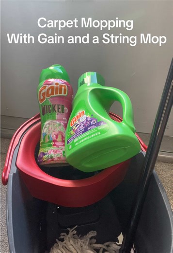 Carpet Mopping with Gain Detergent and Scent Beads