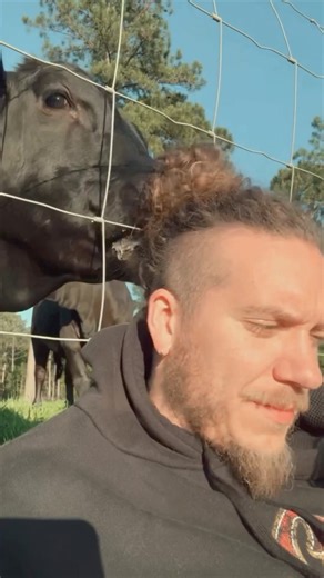 185K views · 7K reactions | From Farm to Florida! Here we come!!! The whole LAKEHOUSE bout to be in the building | Brandon Lake | Facebook