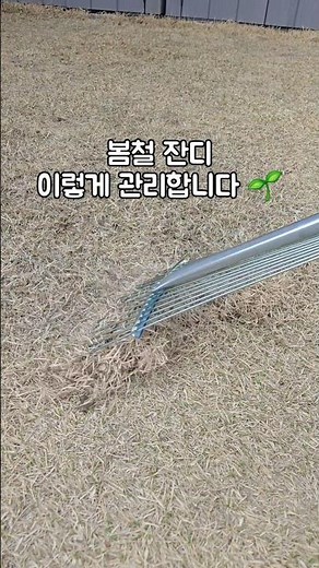봄철 잔디 이렇게 관리합니다 🌱봄철 잔디 관리 어떻게 하시나요? #잔디관리 #잔디밭 #정원관리 #전원주택 #마당관리쿠팡 파트너즈 활동을 통해 일정의 수수료를 제공 받을 수 있습니다