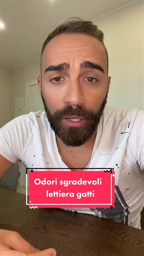 Bicarbonato nella lettiera: consiglio per gatti