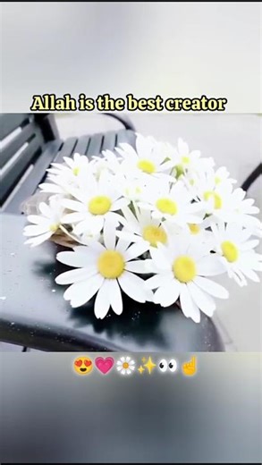 Allah is the best creator 👀☝️#shorts #allah #kingofficial