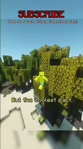 Minecraft’s NEW VILLAGE TYPE??