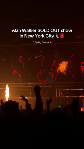 Alan Walker's Sold Out Show at Spring Festival 2026