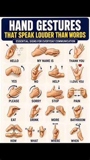 Everyday Sign Language Signs You Need to Know 🤟