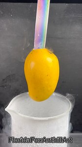 Honey mango 🥭 Vs Liquid Nitrogen 🌧️ #satisfying #experiment #asmr #liquidnitrogen #science | Florida Foundry
