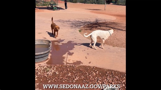 SEDONA DOG PARK AT POSSE GROUNDS Have you been to the Sedona Dog Park? It's the place to be! The park is open sunrise to sunset and has tons of space for big and small pups. Learn more at www.sedonaaz.gov/parks. | City of Sedona Government