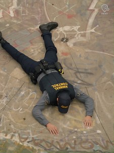 15K views · 218 reactions | On connait tous une tête de mule qui est prête à tout pour ne pas s'avouer vaincue. 臘 Joel McHale te donne rendez-vous dans Animal Control, disponible à la demande avec Warner TV Next ! | Warner TV Next | Facebook