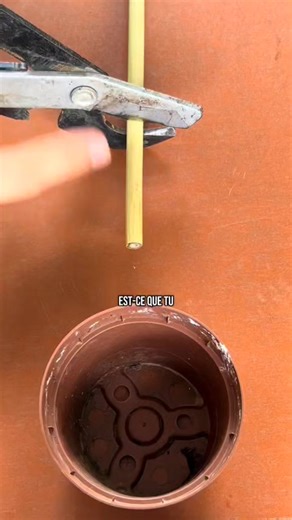 #jardin #astucejardin #potager #plante #DIY #bricolage #abeille hôtel à insectes pollinisateurs | Le Domaine des simple