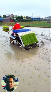 Mini rice transplanter machine 🔥 #agriculture #ricetransplanter #reel #machine #farmer #viral #farming #fypシ #viral | 𝘽𝙡𝙪𝙚 𝘾𝙝𝙚𝙢𝙥