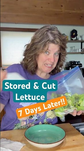 I Stored Cut Lettuce for 7 Days 🥬 Here’s what happened
