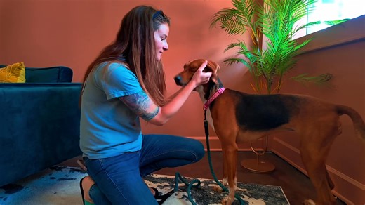 371 reactions · 70 shares | Meet Colleen and Kylie!  Colleen...