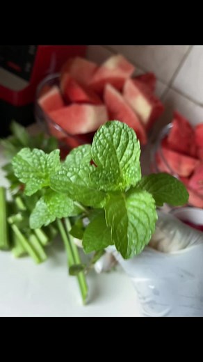 Easy Cactus Juice Recipe | Fresh & Healthy Homemade Juice