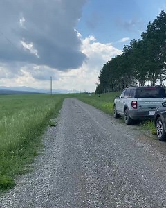 11K views · 1K reactions | Found a pretty little friend on our scout today. 歷 | Jennifer Morrison | Facebook