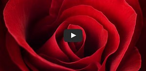 Peygamber Efendimiz’in Kıldığı Sünnet Namazlar