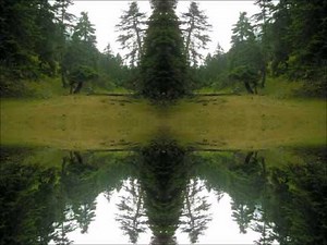 Conservators - Sun Echo