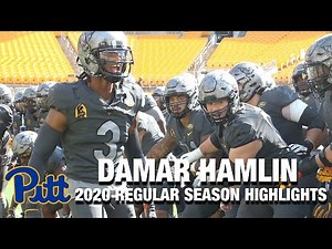 Damar Hamlin 2020 Regular Season Highlights | Pittsburgh DB