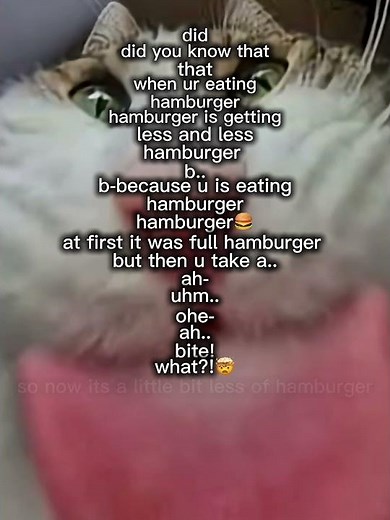 Did you know that when you eating hamburger hamburger is gettings less and less | #memes #funny