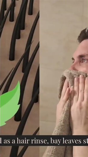 Bay leaf 🌿 good for Hair growth 💞#shorts 💗 #facts