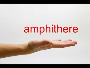 How to Pronounce amphithere - American English