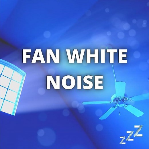 Fan Sleep (Loop)