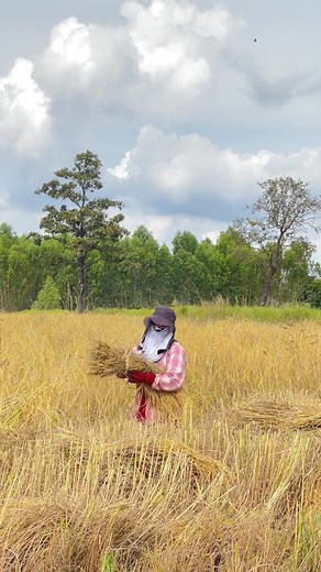 Suthida Sakaew on Reels