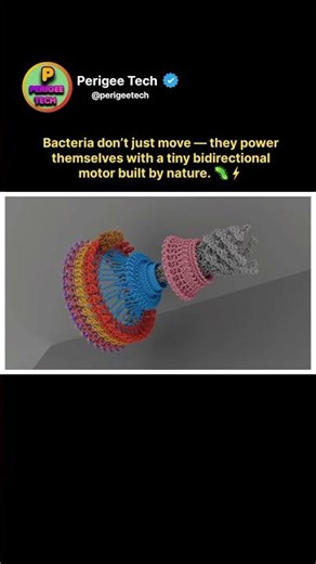 Nature’s Tiny Motor Spins Both Ways! 🦠⚙️ #shorts #Nanotechnology #ScienceFacts #NatureEngineering