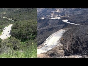 Mulholland Snake Fire Damage - Raw Video