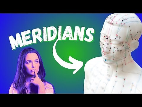 CHANNEL Theory in Acupuncture (Meridian Theory)