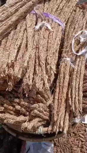 Vidéos de Magnon Beauty Secret (@magnonbeautysecret) avec Intentions choir version - 🎧