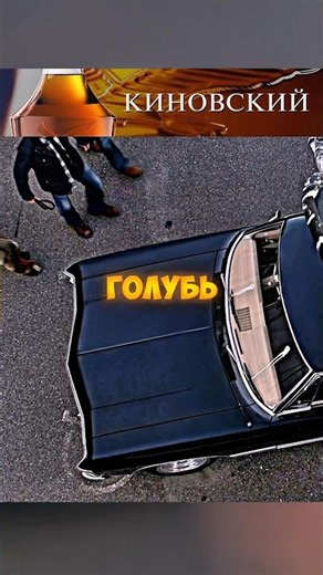 Дин спорит с голубем😂 #сериал #сверхъестественное #shorts