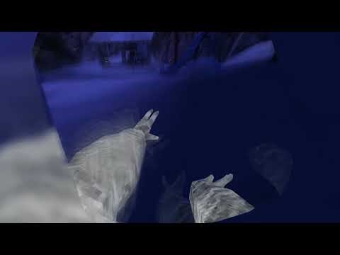 Proof my run is not walksim/pullmod/self cast