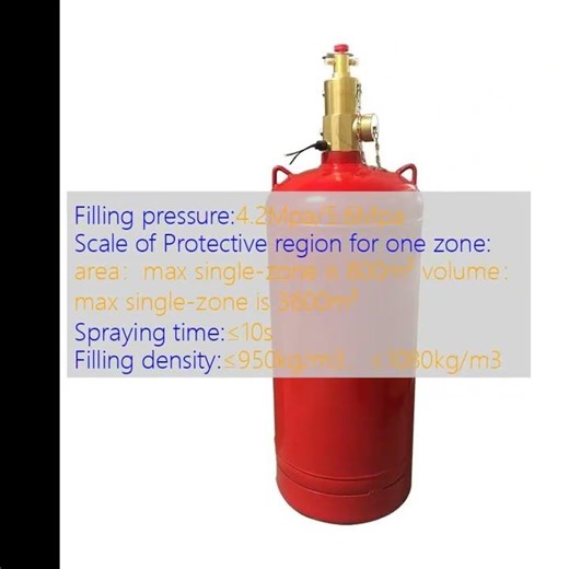 Custom FM200 Gas Suppression System