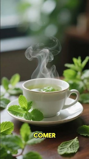 Beneficios Increíbles de la Menta para tu Salud