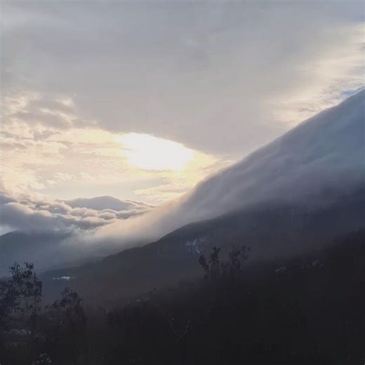 Geoxor on Instagram: "figured I'd say hai ✌🏻"