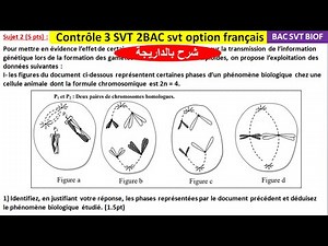 Contrôle 3 SVT 2BAC svt option français (شرح بالداريجة)