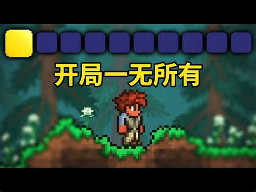 【中配】如果你在泰拉瑞亚开局一无所有会怎样？ - Gungnir