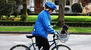 Complete Guide to Taking Your Dog on Bike Rides in a Bike Basket