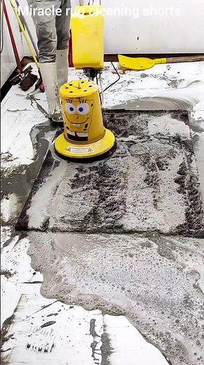 How to clean the worst dirty carpets. wool carpet