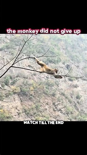 He Risked Everything Just for an Apple 🍎