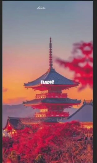 TUTU - Alma Zarza (Lyrics)